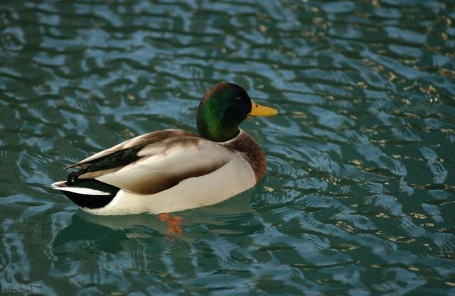 “秋燥”是怎么回事？肝病患者该怎么办？