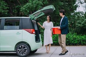 5万以内的A00级电动车，百智大熊和雷丁芒果的较量