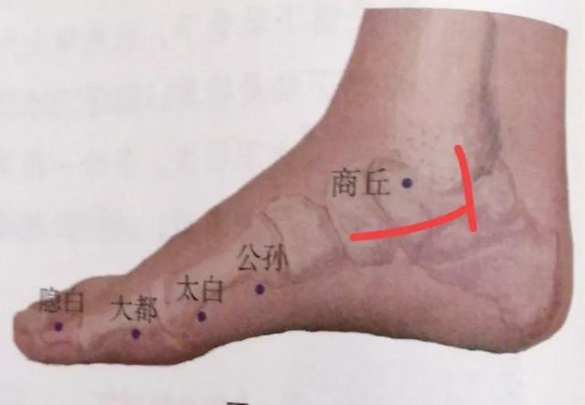 每日一穴…商丘穴