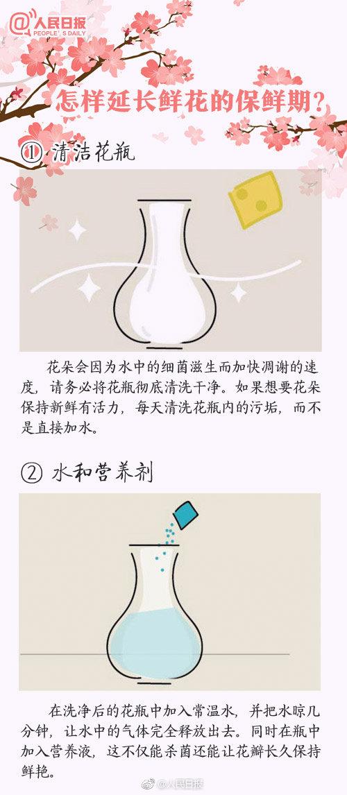 1一100送花的含义 1一100送花的含义（1一100送花的含义粉玫瑰） 生活