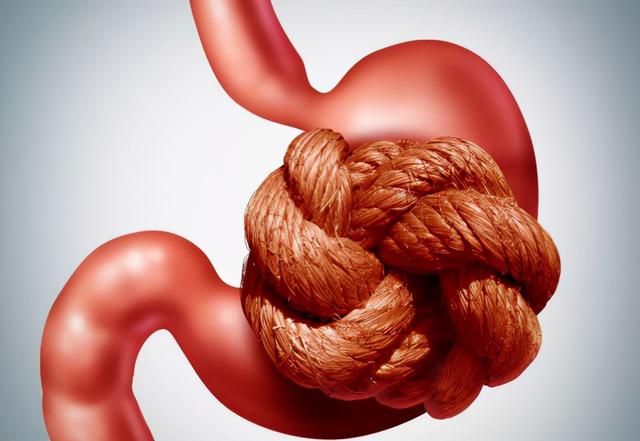 胃结石生活中常见吗？药物溶石有哪些呢？不要大量食入柿子