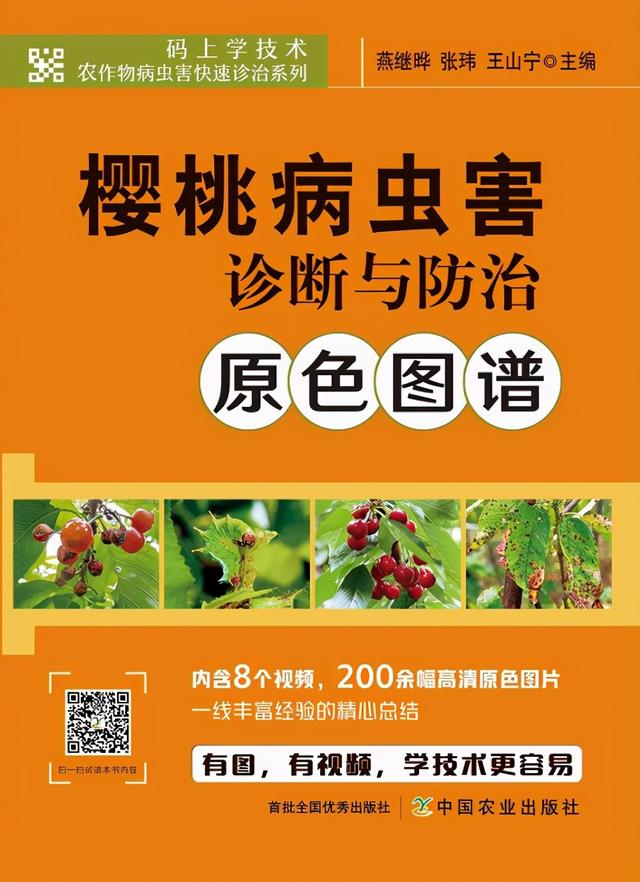 年龄大、没经验也能看得懂的樱桃病虫害防治图谱3