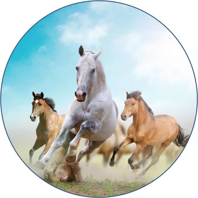 100张马到成功,龙马精神高清微信,qq头像底图分享.