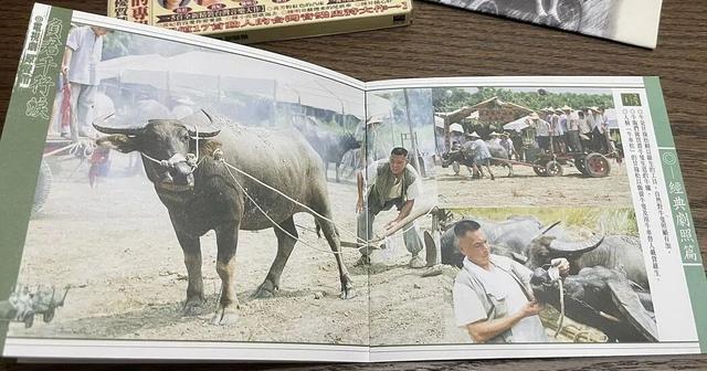 著名演员龙劭华猝逝，享年68岁，演大哥很霸气，演父亲很温暖