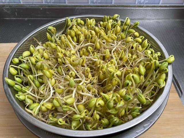 黄豆芽怎么发
