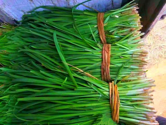 一年有四季，老妈叮嘱我：每1季这种蔬菜尽量少吃，管住嘴保健康