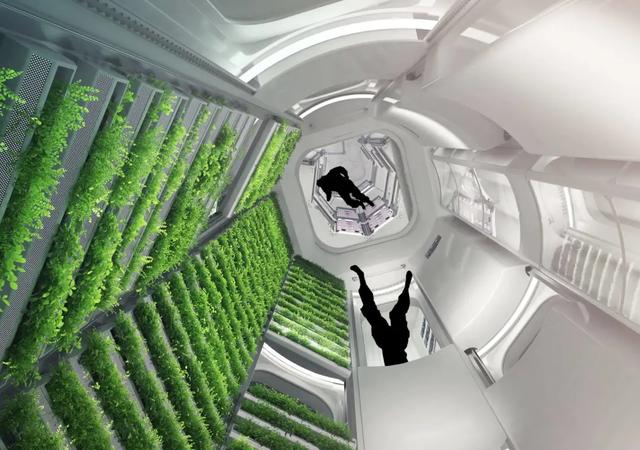 定了，亚马逊创始人要造首个「太空乐园」