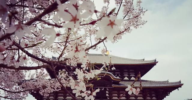 悲催小媳妇翻身记txt（悲催小媳妇翻身记免费）