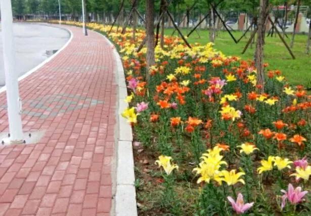 葫芦岛市一高中