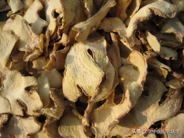 每日一中药——干姜