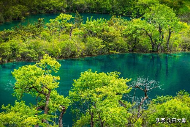 「诗」怀念夏