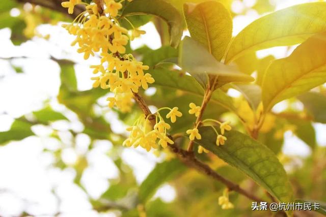 今起，浙江电价有调整！这15个消息，每个都与你有关！