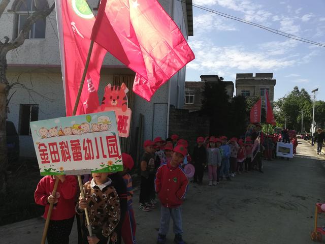 幼儿园的割水稻能手