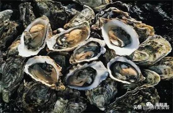 海鲜有什么种类