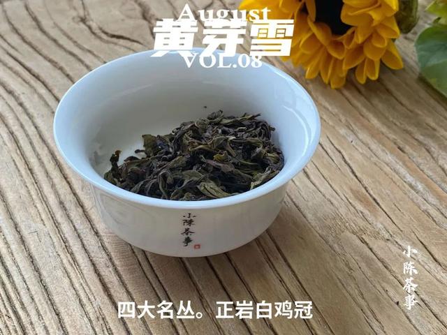 身体浸泡石乳金丹无数