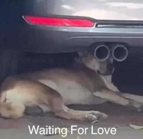 可怕的顺转剖经历