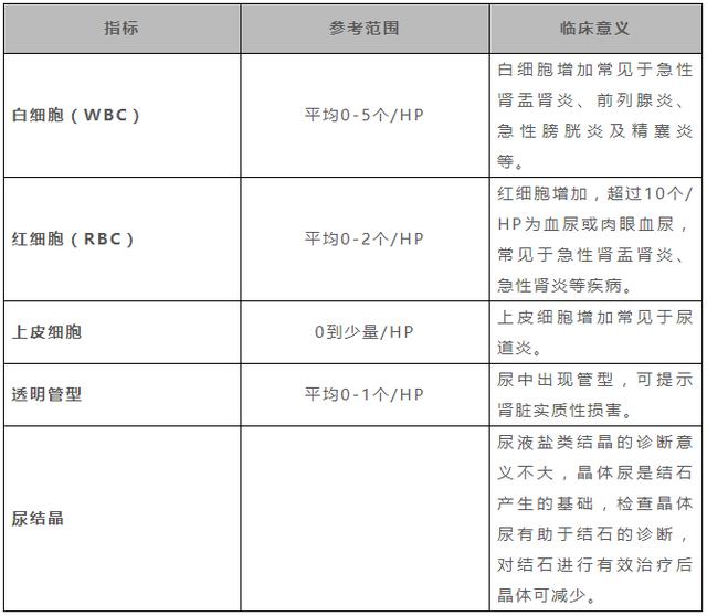 尿液检查隐血是什么意思