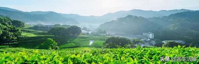 寿宁印刷包装机械展举办费用