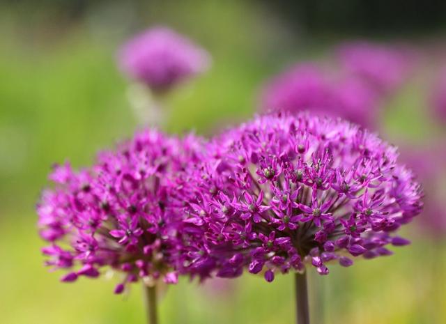 我想和你有个约 太阳信息网