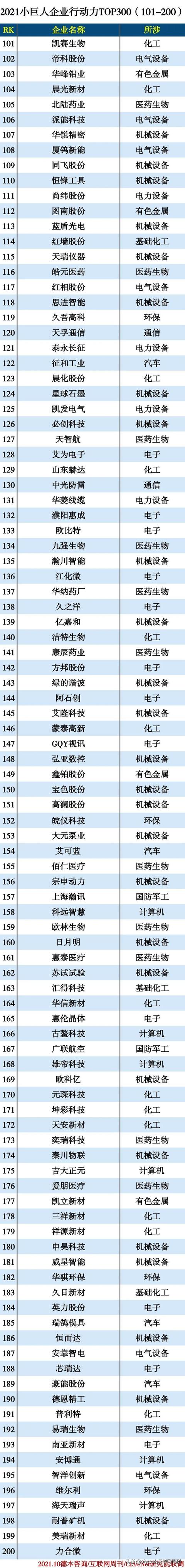 2021小巨人企业300强