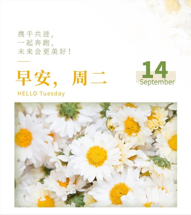 清晨，最棒一段话；早安