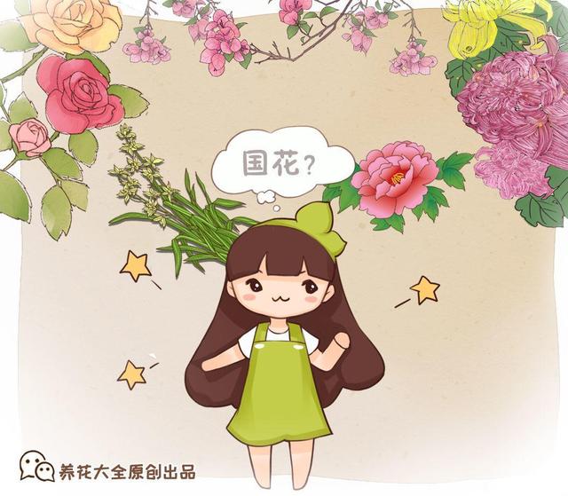 国花是什么花