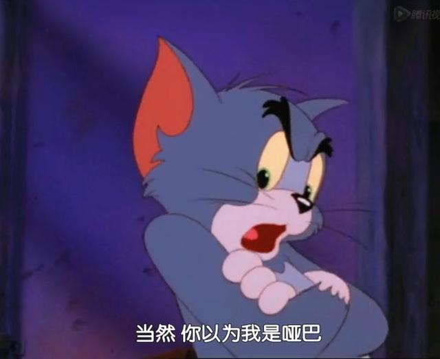 说话猫