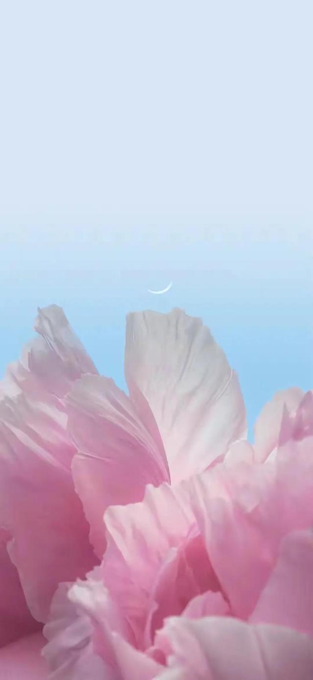 美好的东西分享给大家，特别是第十一张