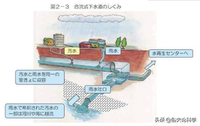 游完10公里后，奥运会运动员从身上拔出虫子，东京湾的水有多脏？6