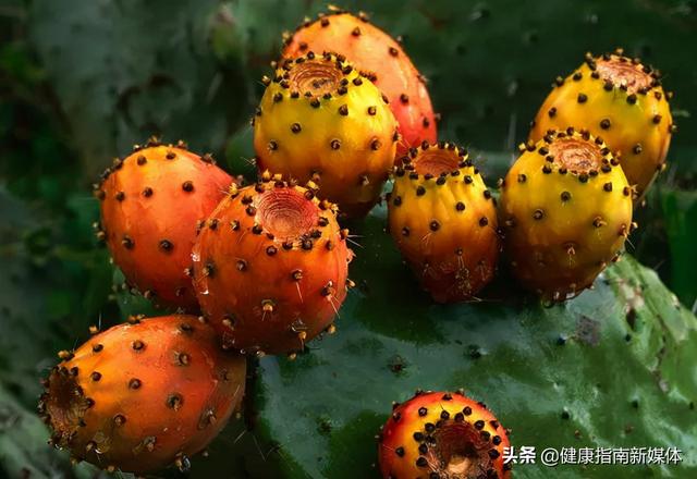 抗氧化剂，抵抗自由基的能手