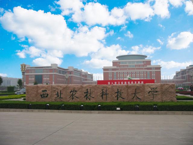 85工程大学排名（985大学有哪些）"