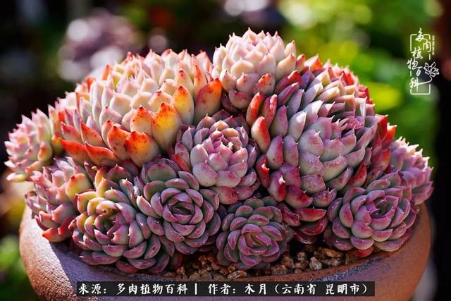 安康石英砂洗砂机厂家电话