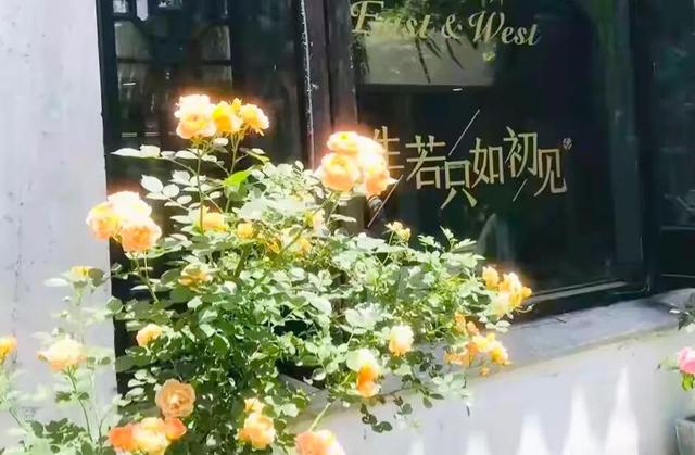 人间惆怅客——纳兰容若的悼妻词，陪伴是最长情的告白