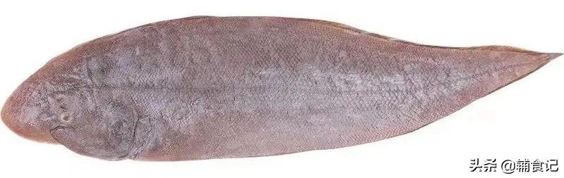 这种鱼最该给孩子吃，刺少肉嫩又补脑，越吃越聪明
