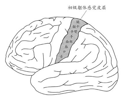 为人父母，你有必要知道儿童五感--触觉