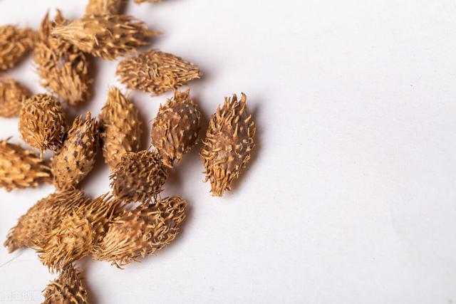 中医：何首乌是“肝脏杀手”？中药吃不对，小心肝损伤