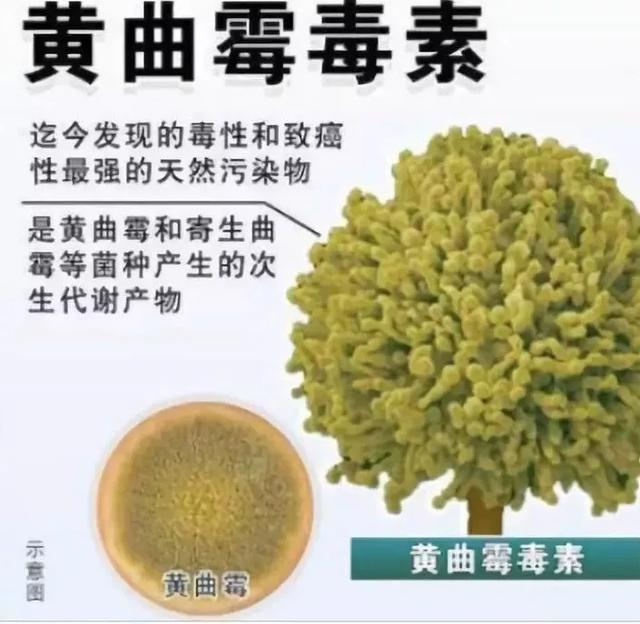 淘宝网过滤机