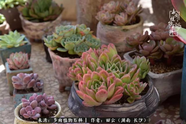 影片剧照