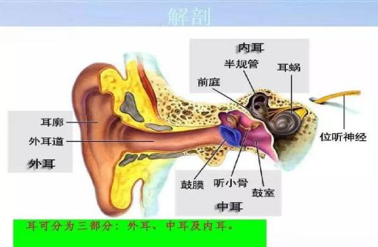 硼酸冰片滴耳液