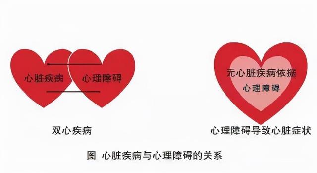 《疏调学术论坛》疏调气机与双心疾病的治疗