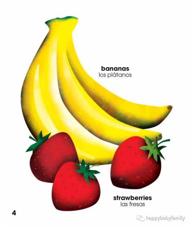 最新宝宝学习双语必备好物 英语 西班牙语双语全彩主题词典 太阳信息网