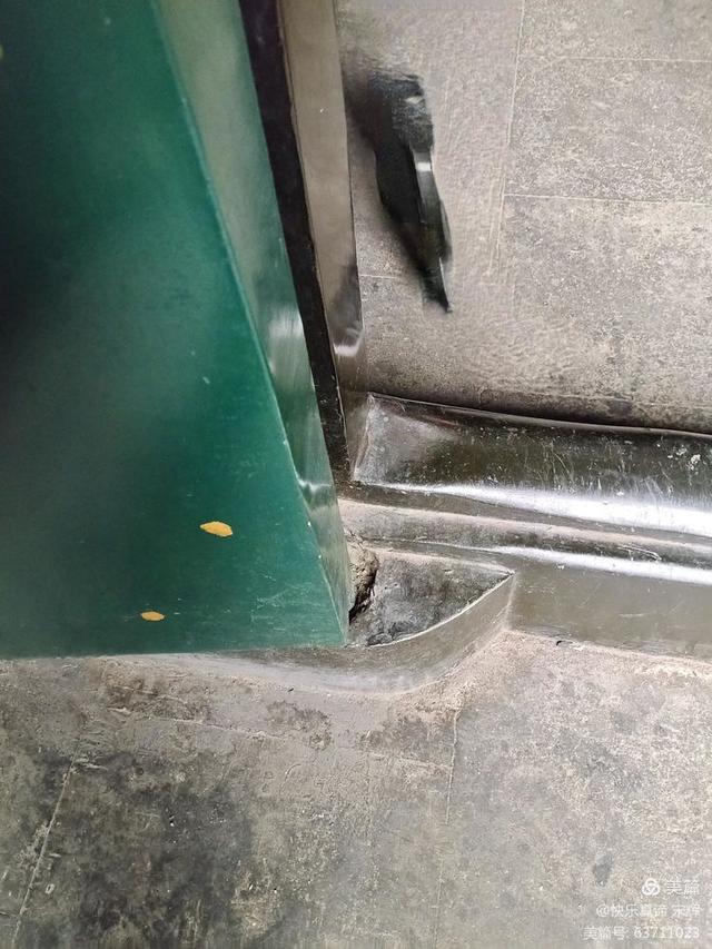 最好的教育是与孩子一起做她喜欢的事情