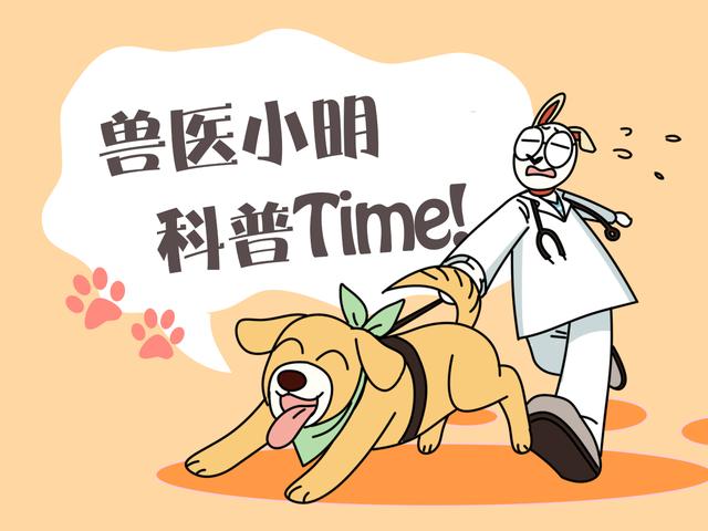 宠物兔子怎么养