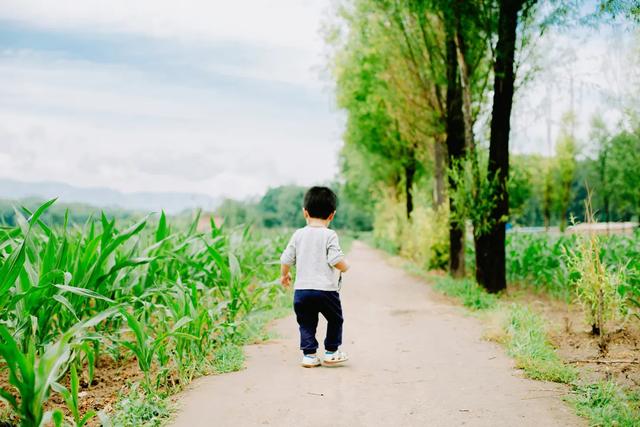 看到这对母子饭桌上的一幕，才明白为什么有的男孩注定受欢迎