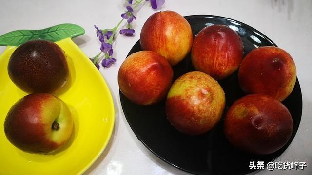 油桃是寒性还是热性(白油桃和黄油桃的区别)
