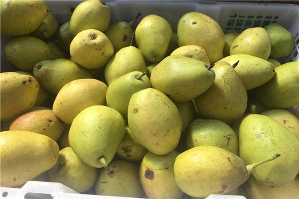 秋季是吃梨的好时候，但有3类人要少吃，秋季养生，医生有话说