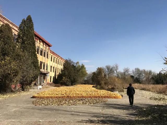 文章图片16
