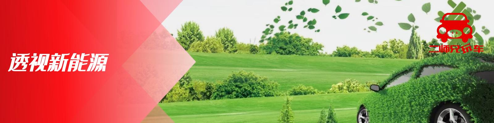 还在质疑新能源本身？不好意思，现在该讨论全民新能源何时到来了