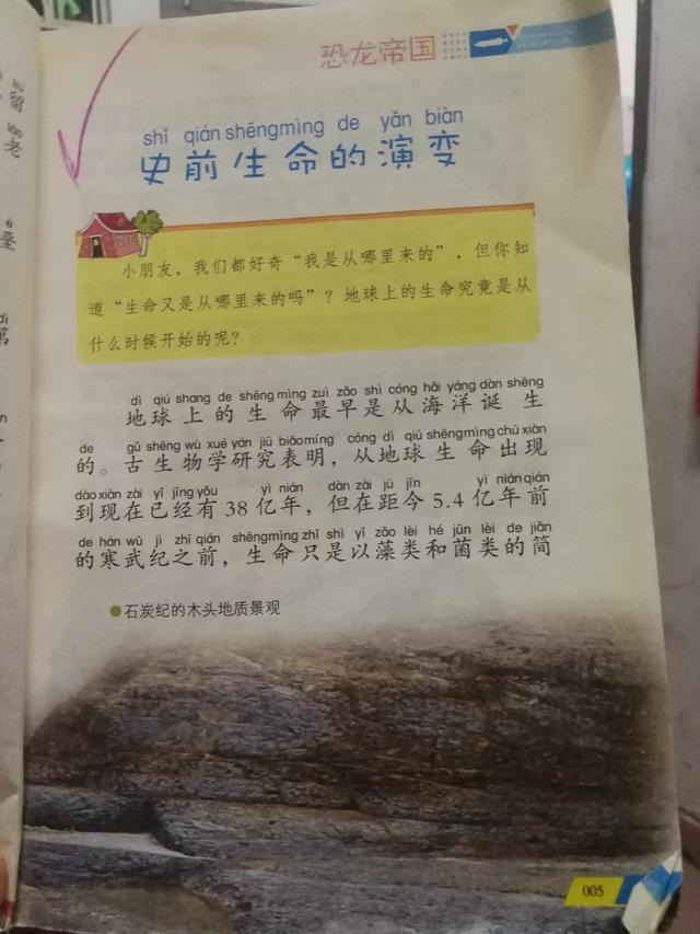 听小儿分享不可小瞧的石头书化石