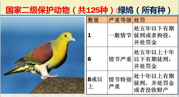 国家二级保护动物